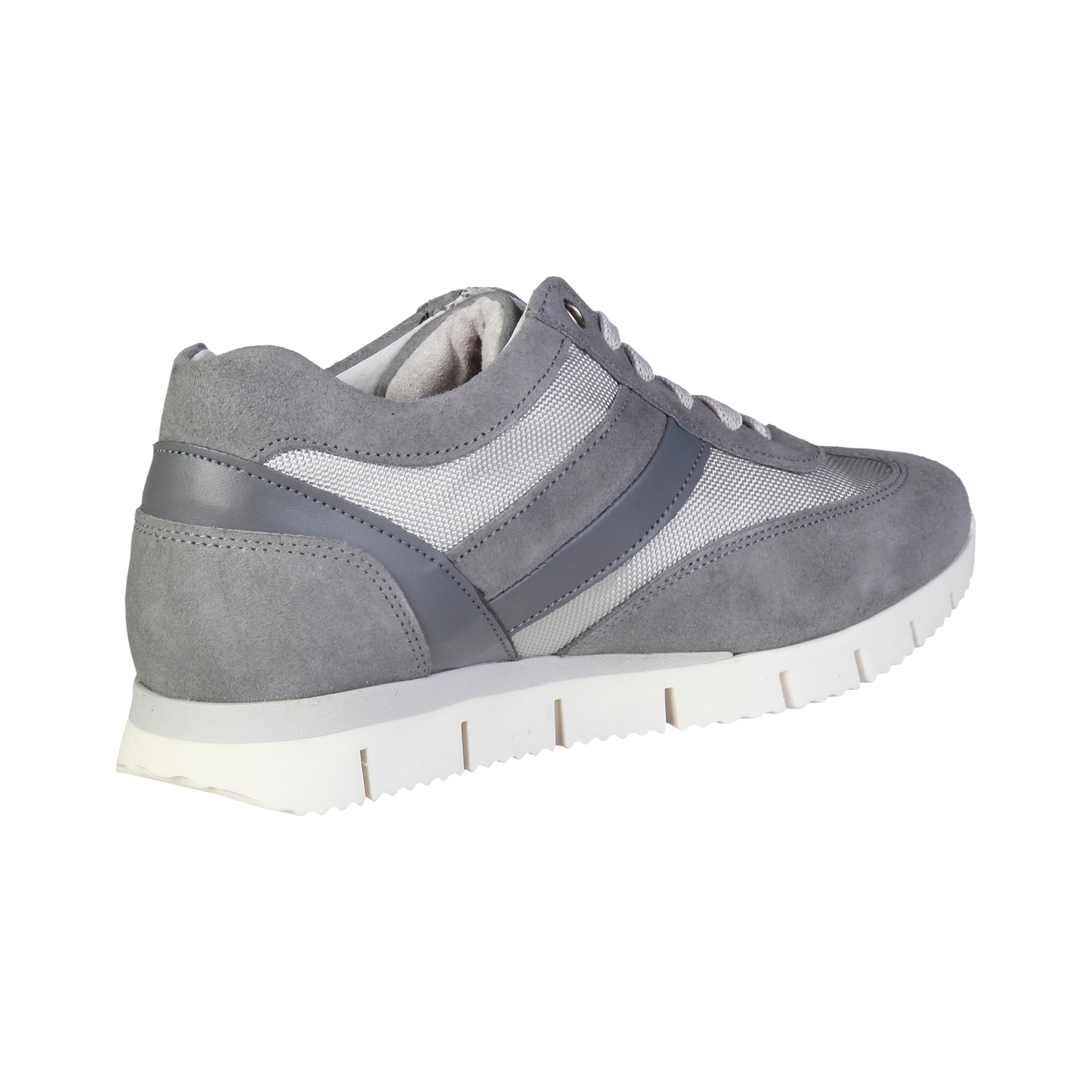 3524-CHAMOIS