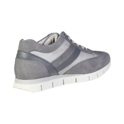 3524-CHAMOIS
